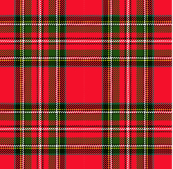 Teplákovina fitness -  tartan